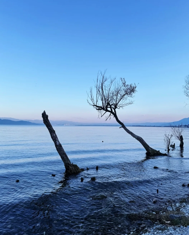 dali itinerary with kids dali itinerary with kids