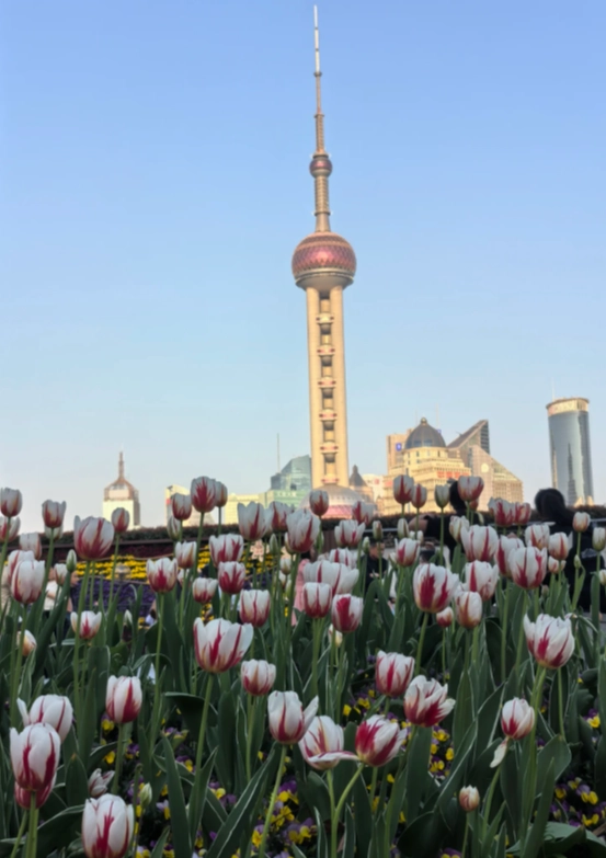 Free Things to Do in Shanghai: Hidden Gems That Cost Nothing