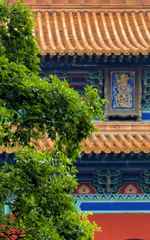 things to do in Nanjing things to do in Nanjing