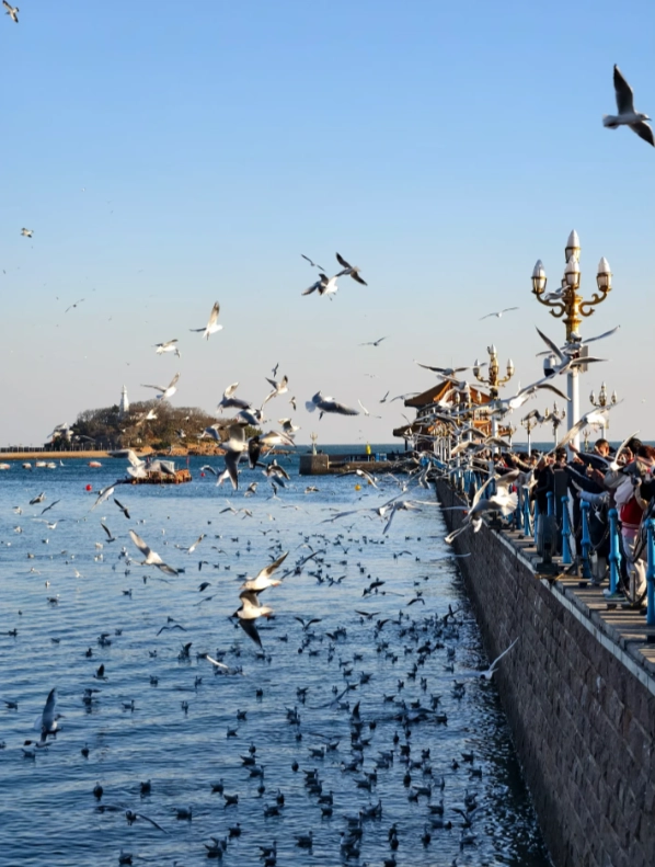 Qingdao China attractions Qingdao China attractions
