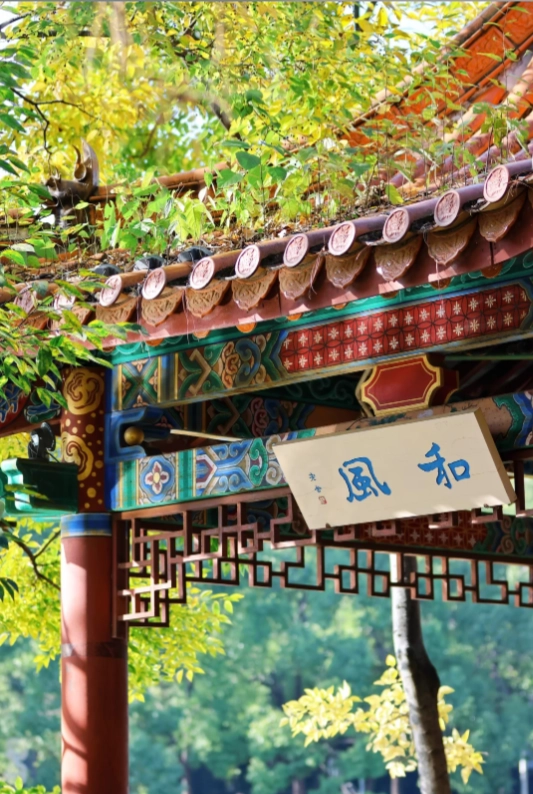 best time to visit kunming best time to visit kunming