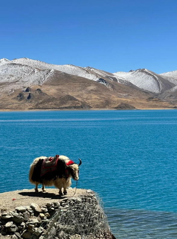 Lhasa family itinerary Lhasa family itinerary