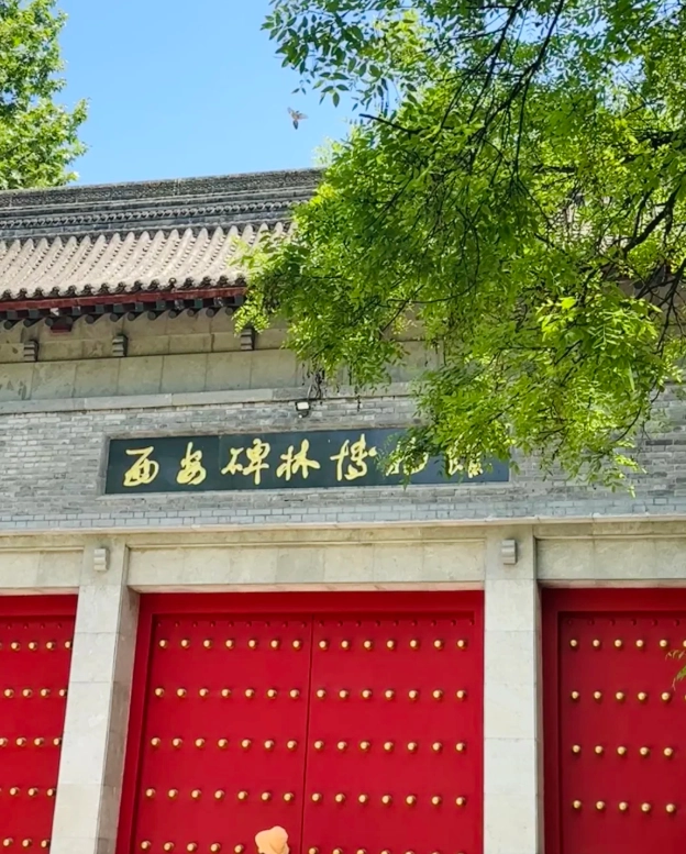 things to do in xian with kids
