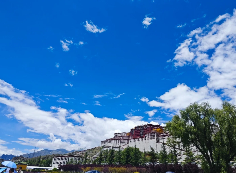Things to Do in Lhasa with Kids: Family Guide