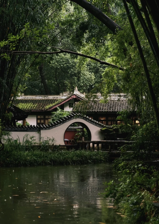 chengdu panda base chengdu panda base