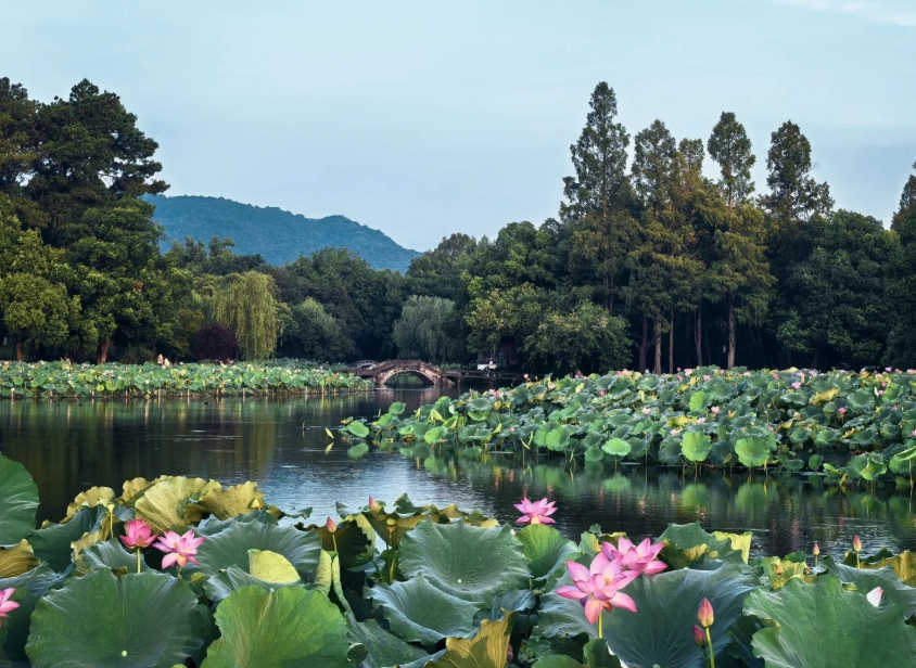 What to Do in Hangzhou: Avoid Tourist Traps