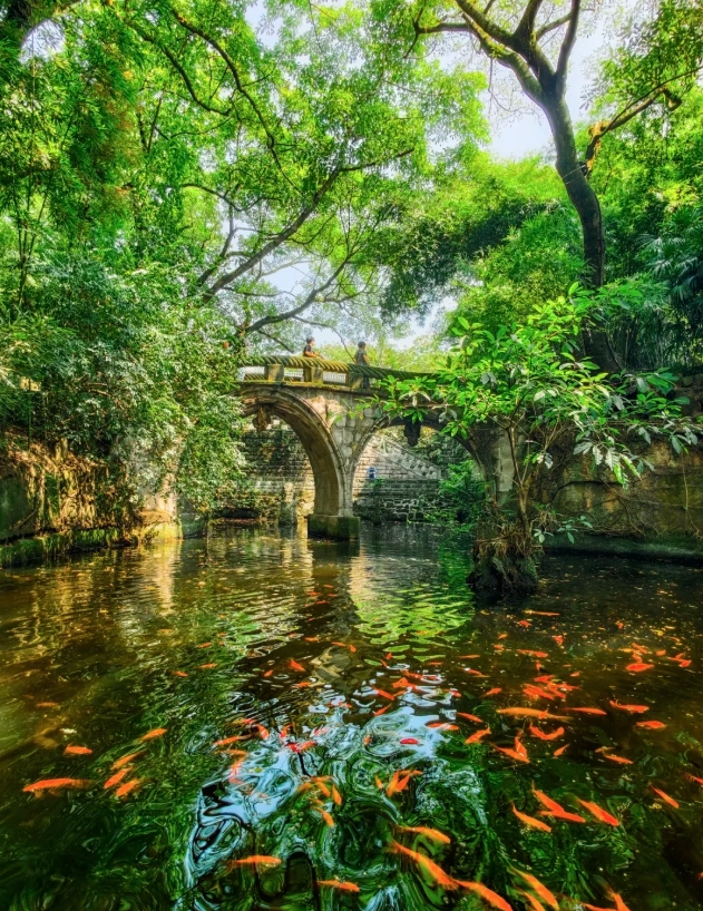 chongqing attractions chongqing attractions