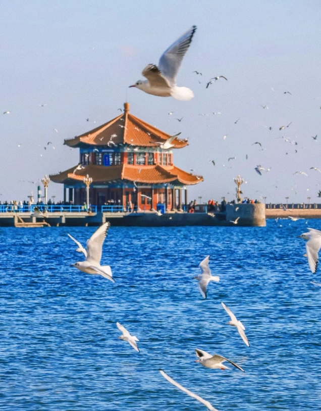 What to Do in Qingdao: Avoid Crowds & See the Real City