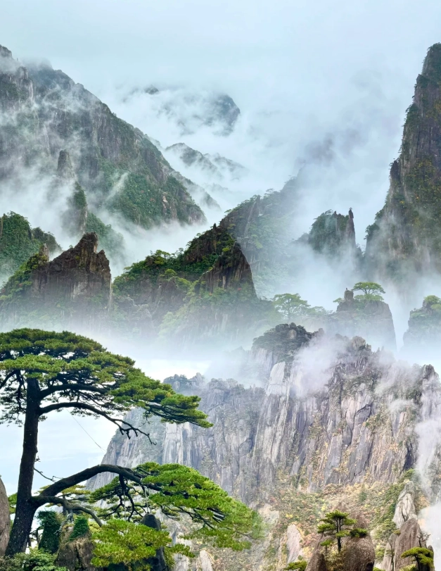 Is Huangshan Worth Visiting: Honest Tips from a Local Guide
