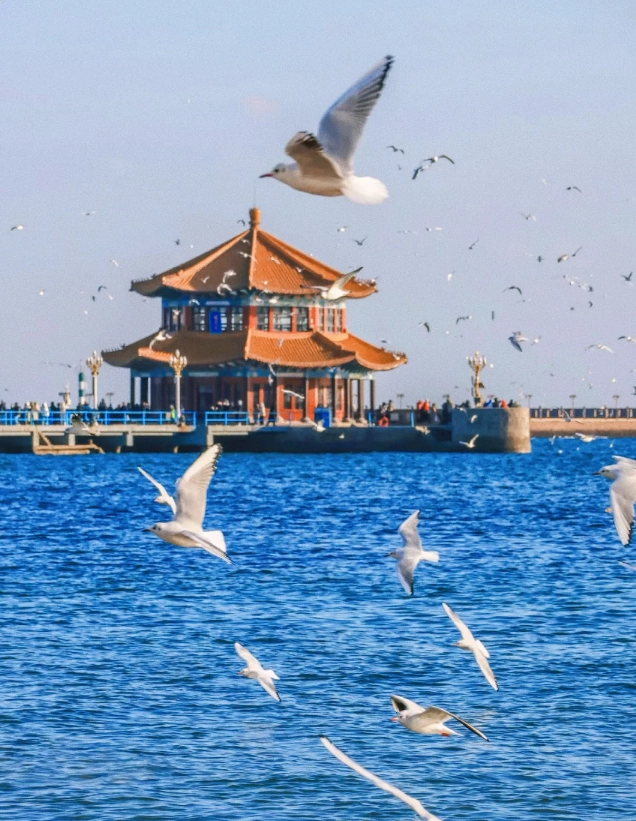 family-friendly Qingdao family-friendly Qingdao
