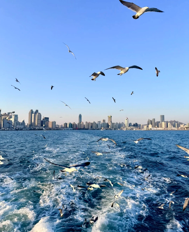 Things to Do in Qingdao with Kids: 8 Family Favorites