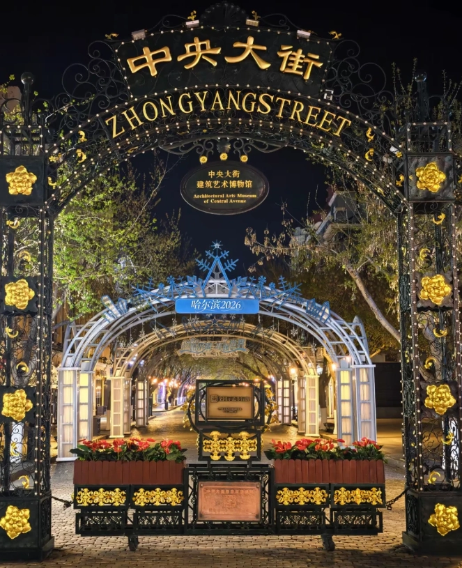 harbin night tour harbin night tour