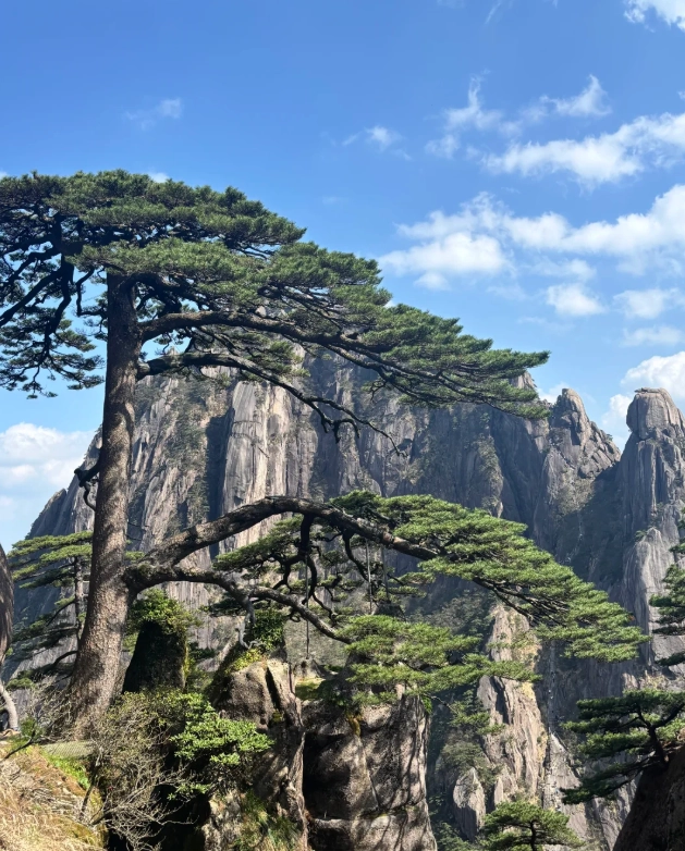 huangshan travel guide huangshan travel guide