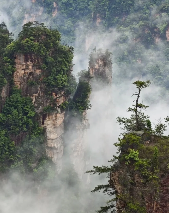 Zhangjiajie travel guide Zhangjiajie travel guide