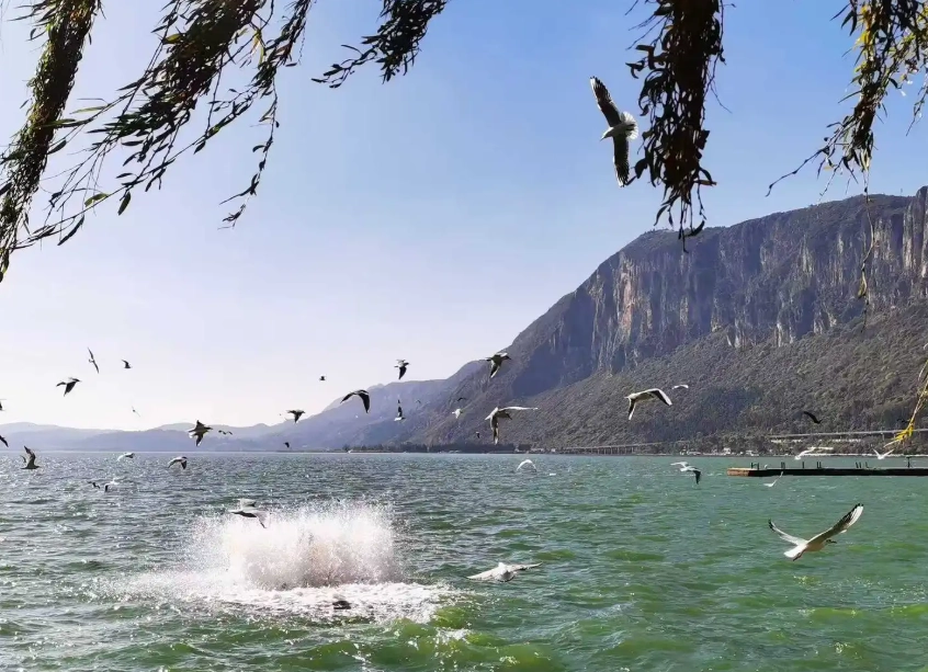 Kunming tourist attractions: 12 best places & insider tips