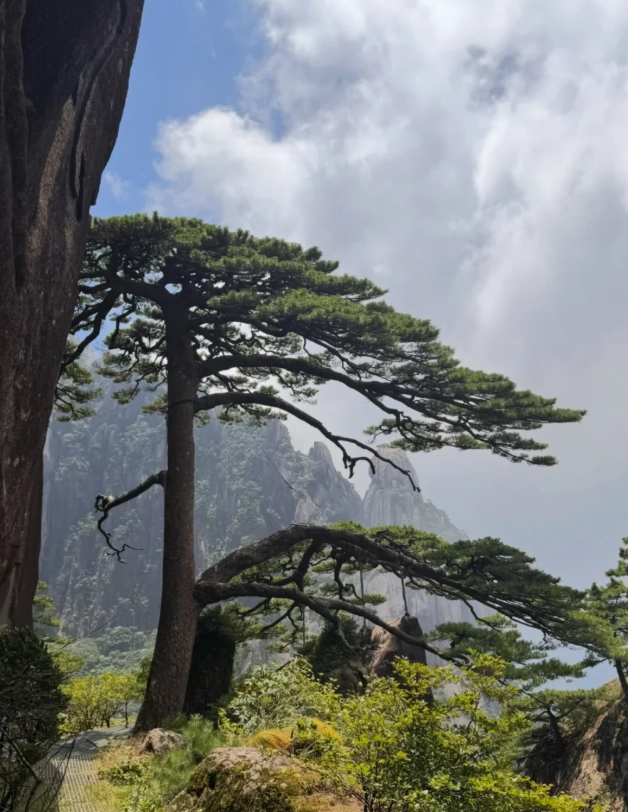 Huangshan travel guide Huangshan travel guide