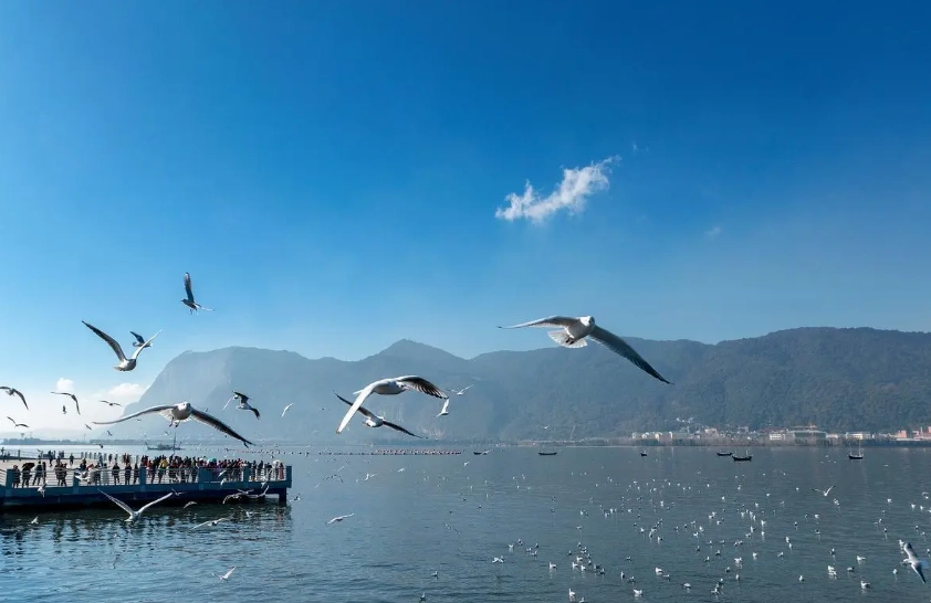 kunming attractions kunming attractions