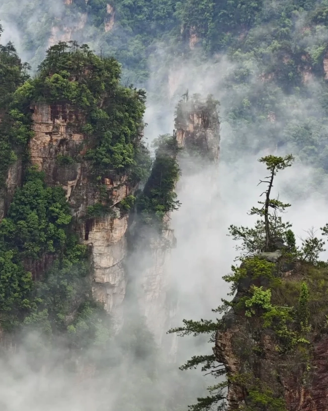 Top Things to Do in Zhangjiajie: Insider Tips