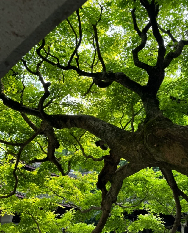 Hangzhou attractions