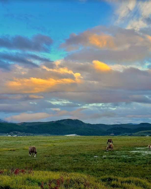 Songzanlin Monastery