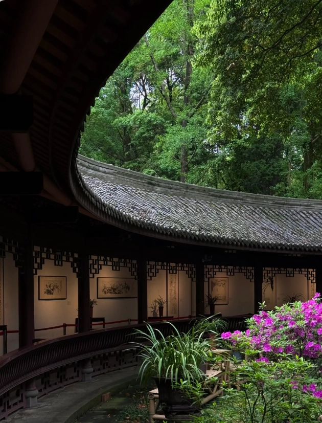 chengdu travel guide