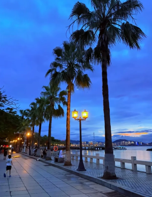 What to Do in Xiamen at Night: Insider Tips