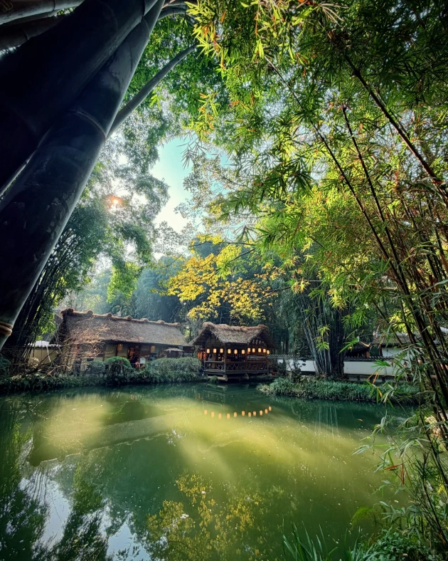chengdu panda base
