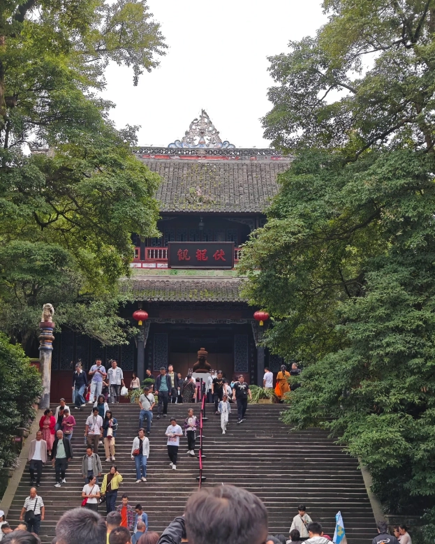things to do in chengdu with kids things to do in chengdu with kids
