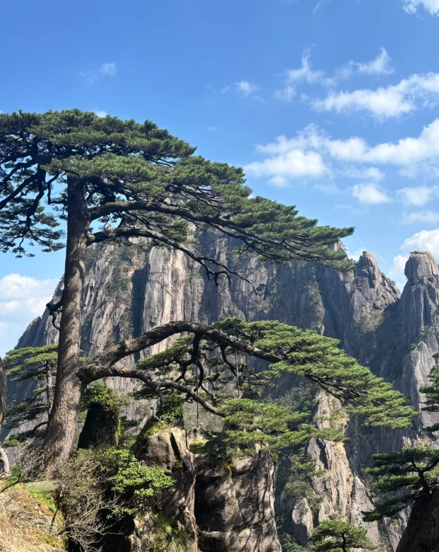 huangshan with kids