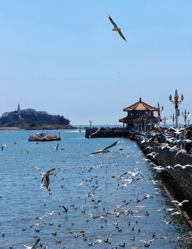 Qingdao free attractions Qingdao free attractions