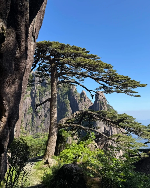 How Many Days to Spend in Huangshan: 2-3 Days Is the Sweet Spot