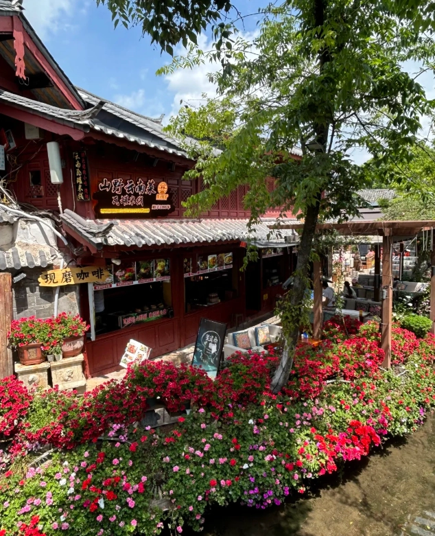 Lijiang travel tips Lijiang travel tips