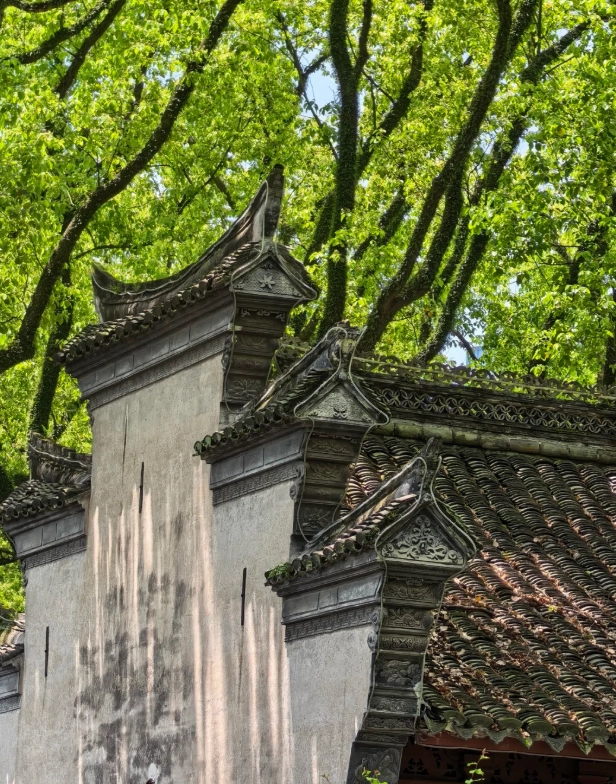 Photo of Dongqian Lake: Ningbo travel guide
