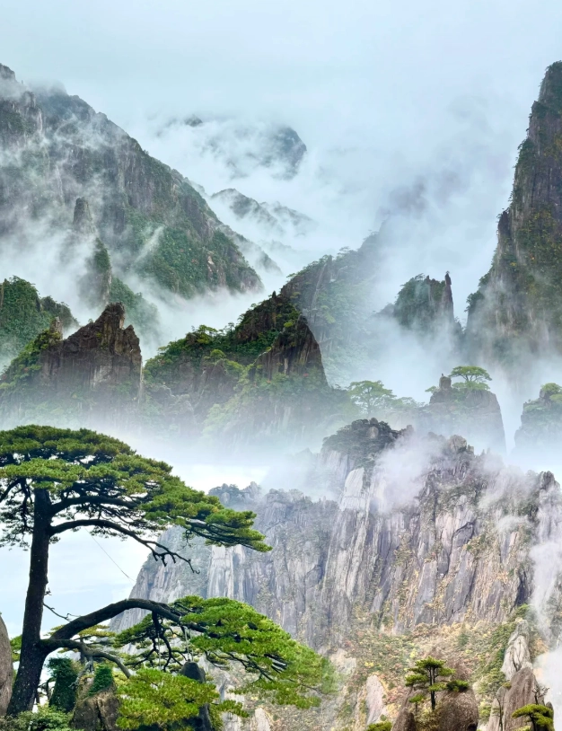 Huangshan insider tips