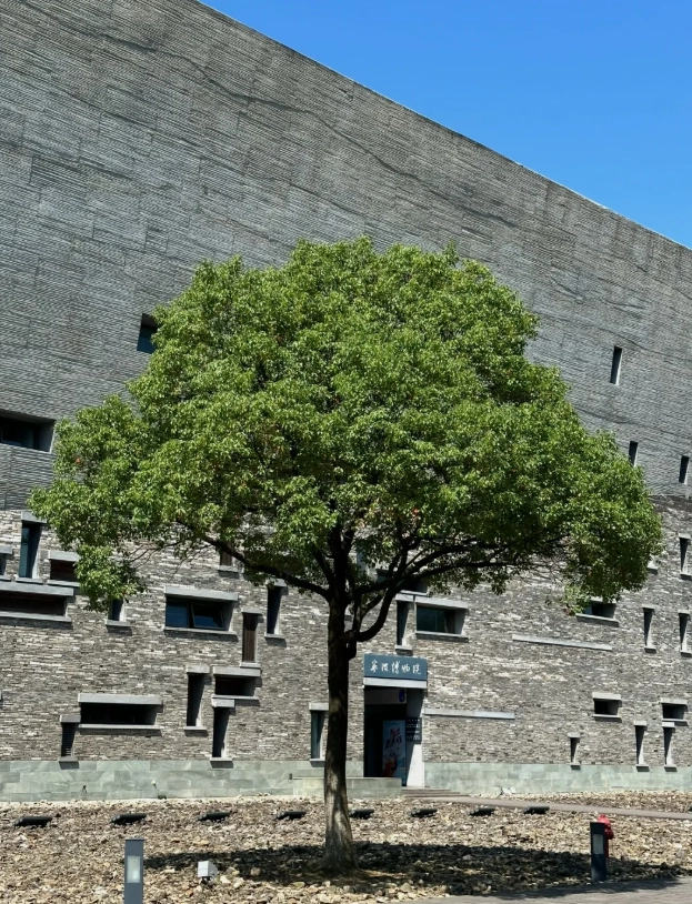 where to take photos in Ningbo Museum