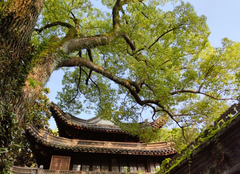 tianyi pavilion museum tickets tianyi pavilion museum tickets