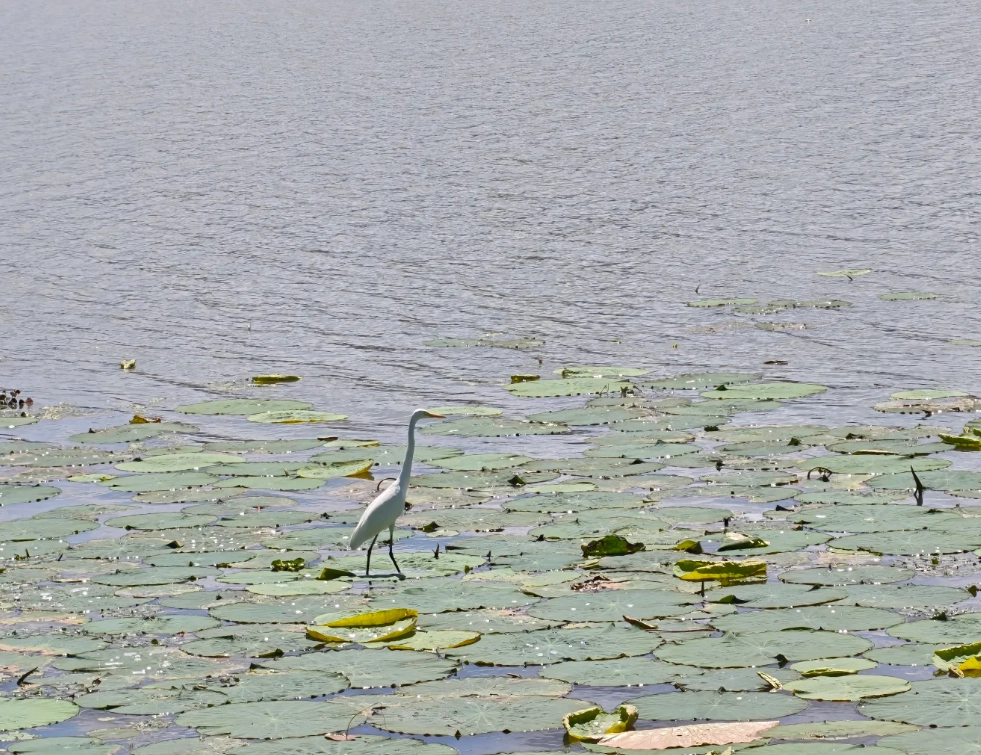ningbo 3 day itinerary ningbo 3 day itinerary