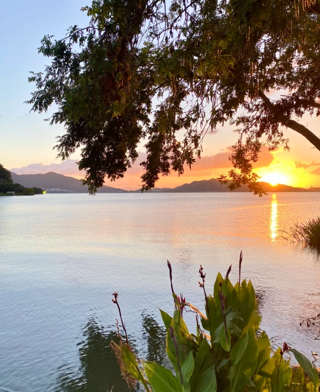 Hangzhou West Lake travel guide