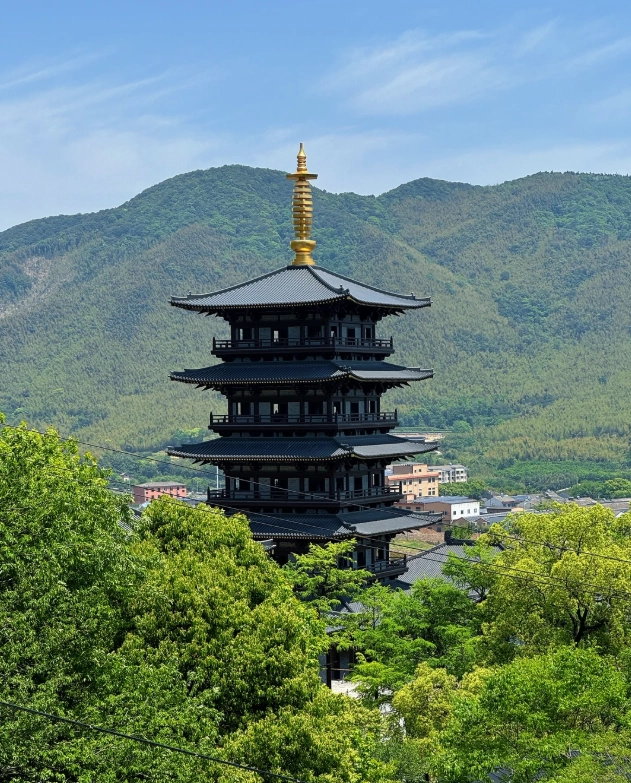 what to do in ningbo