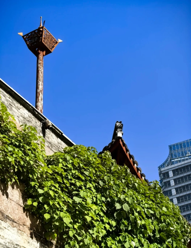 ningbo travel guide
