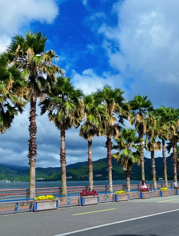 Dongqian Lake Opening Hours: When to Go and Avoid Crowds