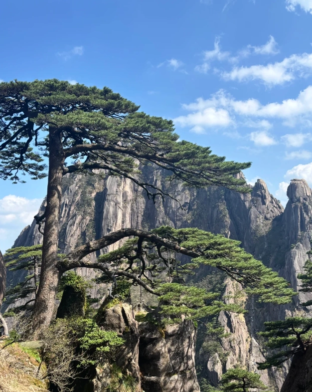 Must See in Huangshan: 7 Essential Spots for First-Timers