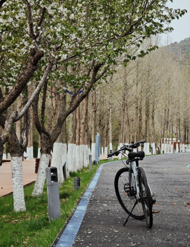 Dongqian Lake bike tour Dongqian Lake bike tour