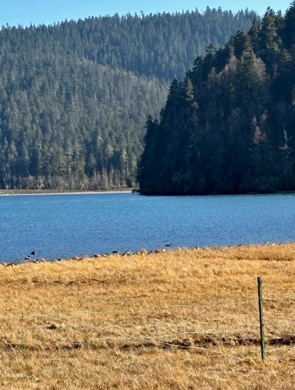 things to do in Shangri-La