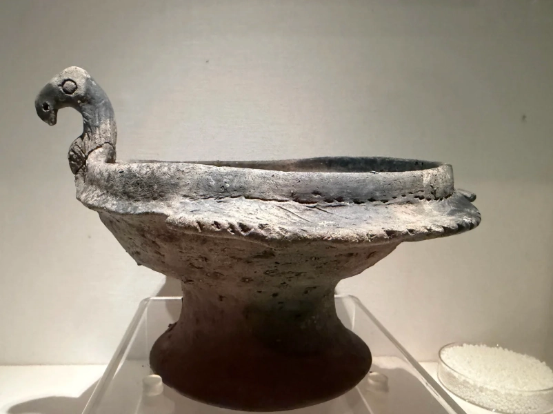 Ningbo Museum visiting tips