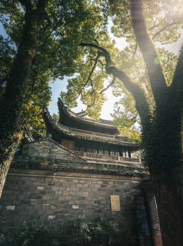 Tianyi Pavilion Museum: Worth Visiting?