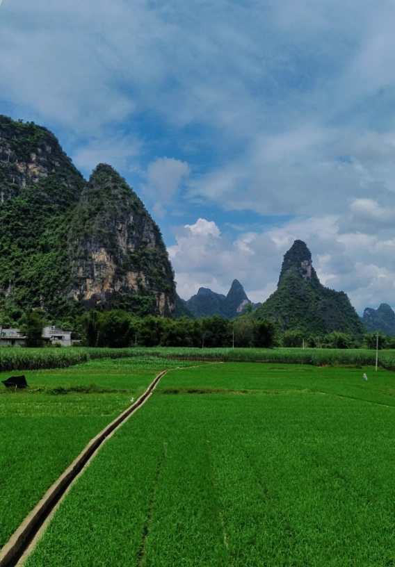 Mingshi Countryside travel tips Mingshi Countryside travel tips