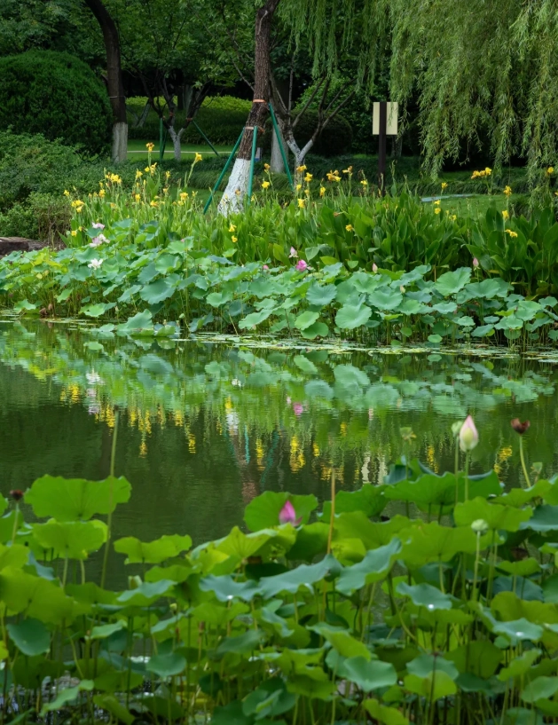 ningbo travel in april ningbo travel in april