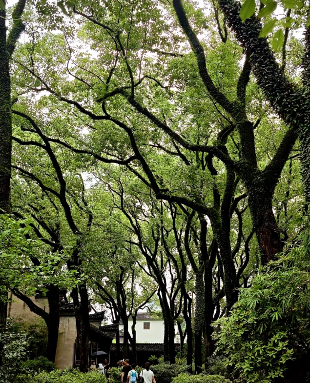 ningbo tianyi pavilion