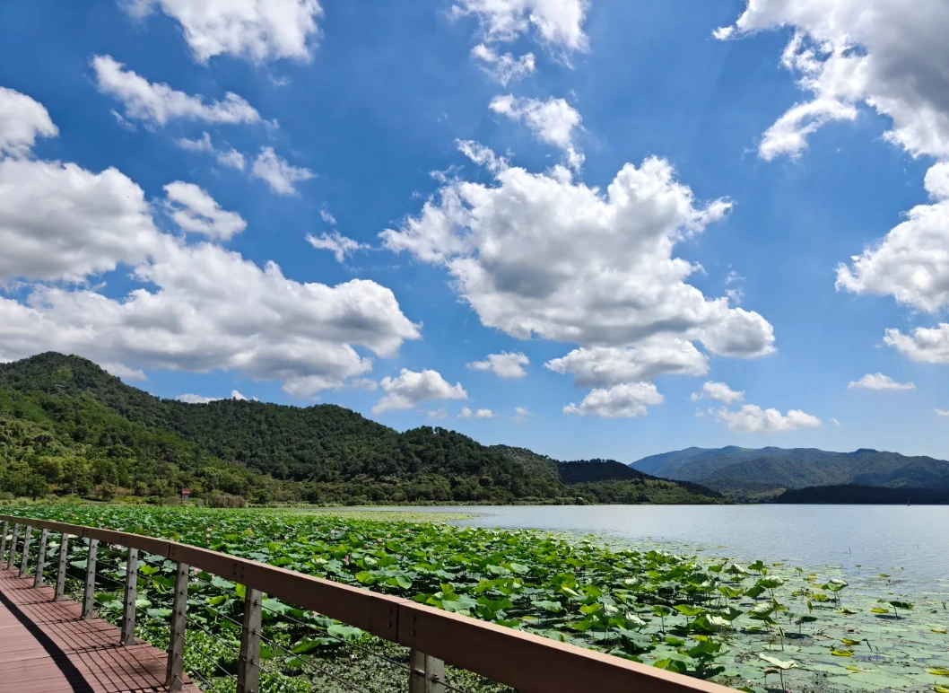 ningbo weather by month ningbo weather by month